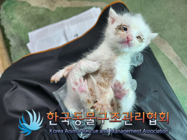 한국동물구조관리협회_441409202301299